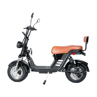 Fabrika OEM/ODM Elektrikli Motosiklet 1500W Ev Tipi Yetişkin Motosikleti Scooter Dayanıklı Çelik Gövde Su Geçirmez Ekran Şehir İçi Ulaşım BİSİKLETİ