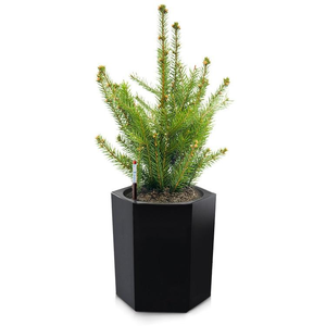 Brice – Jardinières hexagonales modernes <span class=keywords><strong>de</strong></span> 16 pouces <span class=keywords><strong>de</strong></span> hauteur, auto-arrosantes, avec indicateur <span class=keywords><strong>de</strong></span> niveau d'eau, trou <span class=keywords><strong>de</strong></span> drainage et <span class=keywords><strong>roulettes</strong></span> au fond, pour extérieur/intérieur - Product Image 2