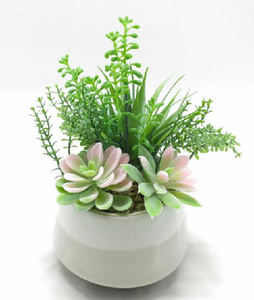 Piante Succulente Artificiali, Decorazioni con Piante Verdi, Mini Ornamenti <span class=keywords><strong>di</strong></span> <span class=keywords><strong>Cactus</strong></span>, Combinazione <span class=keywords><strong>di</strong></span> Vasi per Succulente, Bonsai - Product Image 2