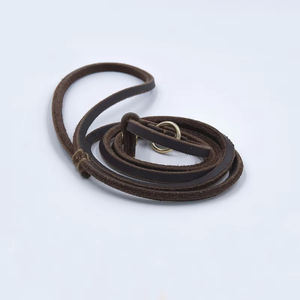 SinSky-Collares de diseño personalizado para mascotas, correas ligeras, finas pero resistentes de cuero, cuerda de plomo, correas suaves y delgadas para perros - Product Image 5