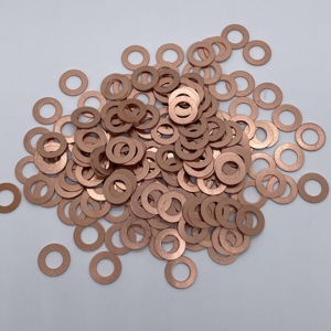 Đồng máy giặt Gasket Set với Flat <span class=keywords><strong>Ring</strong></span> Assortment Kit Made - Product Image 6