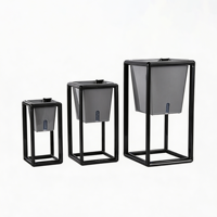 Pot de fleurs auto-arrosant en plastique transparent de style nordique avec support surélevé et réservoir visible pour plantes d'intérieur