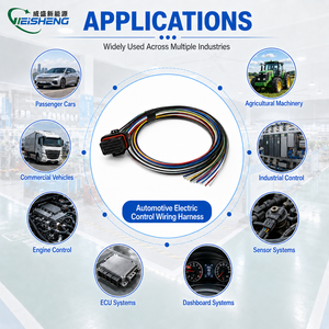 34P MIL-W22759/16 <span class=keywords><strong>2</strong></span>.5m G4X ECUs Faisceau de câblage universel pour ECU avec fil Tefzel enduit ETFE pour le sport automobile - Product Image 2