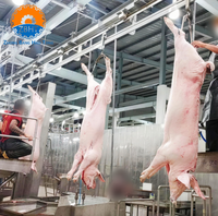 Solution clé en main pour abattoir de porcs : du concept à la mise en service, projet complet d'abattoir de porcs, équipement au prix d'usine