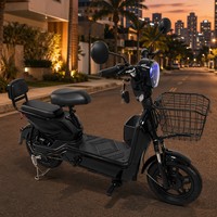 Bicicleta Eléctrica al por Mayor 2025 de 500W, 48V 12Ah, 14 Pulgadas con Enchufe Brasileño - Directo de Fábrica OEM/ODM para Importadores B2B
