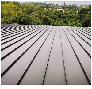 Sistema di Chiusura Verticale YX65-430 per Lastre in Acciaio Colorato, Struttura in Acciaio per Musei d'Arte, Tetto a Grande Campata - Product Image 3