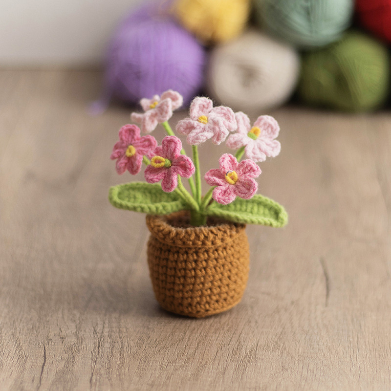 6-head Forget-Me-Not in gradient pink