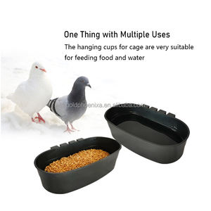 Bebedero y Comedero Redondo de Plástico <span class=keywords><strong>para</strong></span> Aves de Corral, Pollos, Palomas, <span class=keywords><strong>Gallos</strong></span> y Codornices, Venta Caliente YYC - Product Image 4