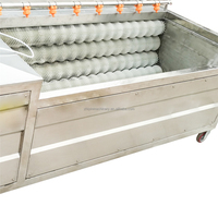 SUS304 Motor aangedreven wortelgroente- en fruitwas- en schilmachine met waterreinigingsrolborstel voor de verwerking van aardappel, gember en radijs