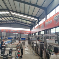 Chaîne de production professionnelle d'Amérique du Sud pour friteuses continues de 500 kg/h pour chips de pommes de terre, bâtonnets et brochettes de légumes, pour usine