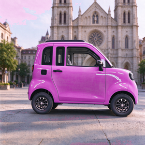 Voiture électrique 2 places pour hôtel de charme, avec 6 unités, 40HQ <span class=keywords><strong>et</strong></span> pneus 125 60R12, certifiée COC - Product Image 2
