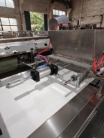 Machine à biscuits aux pépites de chocolat 600mm entièrement automatique Machine à tremper le chocolat Machine de dépôt de copeaux de chocolat