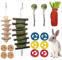 15Pcs Konijn Kauwen Speelgoed Voor Tanden, 100% Natuurlijke Bunny Kauwen Speelgoed Voor Tandheelkundige Gezondheid, natuurlijke Apple Wood Sticks Timothy Hooi Ballen