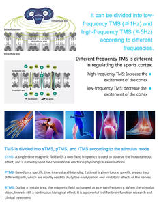 2025 Dispositif de thérapie électromagnétique de réadaptation de soins de la douleur corporelle pour le soulagement de la douleur du corps entier Bien-être Récupération sportive - Product Image 5