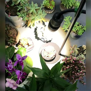 Lámpara LED de Cultivo de Plantas de Espectro Completo de 10W con Altura Ajustable y Zoom, 5 Niveles de Intensidad, Temporizador de 3/6/12H, para Escritorio o Suelo - Product Image 6