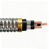 5kV QYEQEY Kupfer-Flachkabel ESP-Stromkabel mit Stahlbandarmierung IP65 Tauchfähiges Ölpumpenkabel für Onshore- und Offshore-Ölfelder