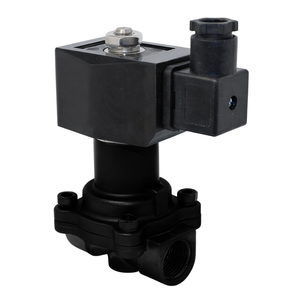 Válvula Solenoide de Vapor de Acero Inoxidable de Alta Temperatura, Normalmente Cerrada, de 1 Pulgada y 12 V CC, con Ventana de 90 Días, COVNA - Product Image 3