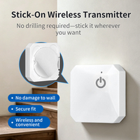 Interruptor de Control Remoto Táctil Inalámbrico, Transmisor RF de 315MHz 433MHz, Controlador de Luz LED Inteligente para el Hogar, Panel de Montaje en Pared