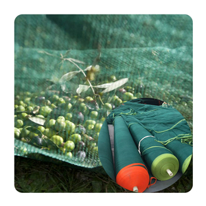 Filets <span class=keywords><strong>de</strong></span> récolte professionnels pour olives, filets <span class=keywords><strong>de</strong></span> récolte agricoles, filet <span class=keywords><strong>de</strong></span> récolte pour olives en <span class=keywords><strong>grille</strong></span> carrée en PEHD 100% traité anti-UV <span class=keywords><strong>de</strong></span> couleur vert foncé - Product Image 5