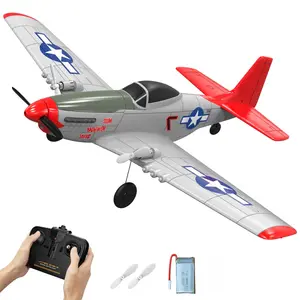 2023 4 assi 2.4G Fighter Hobby RC aereo EPP schiuma aereo telecomando aereo vendita calda giocattoli all'ingrosso