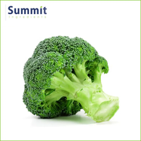 Prix de gros approvisionnement extrait de graine de brocoli glucoraphanine/sulforaphane