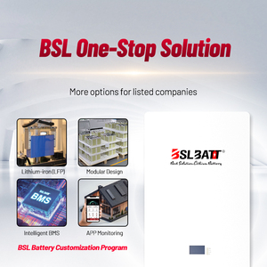 Batería de Almacenamiento de Energía de Pared <span class=keywords><strong>BSLBATT</strong></span> 200ah 10kwh Powerwall 48v 200ah 300ah Batería Solar Residencial Lifepo4 - Product Image 3