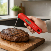 Thermomètre alimentaire numérique à sonde pliable, lecture instantanée, pour cuisine, viande, barbecue, liquides