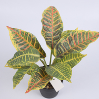 Plante artificielle grande avec étiquette personnalisée, plantes artificielles réalistes, plafond, bonsaï mignon, fleurs artificielles, feuilles longues