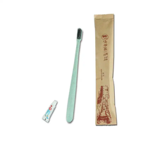 Ensemble brosse à dents et dentifrice de voyage Brosse à dents à usage unique avec pâte personnalisée