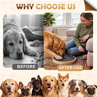 Tapis de grattage interactif pour chiens, à angle réglable, en bois remplaçable, écologique, autoportant
