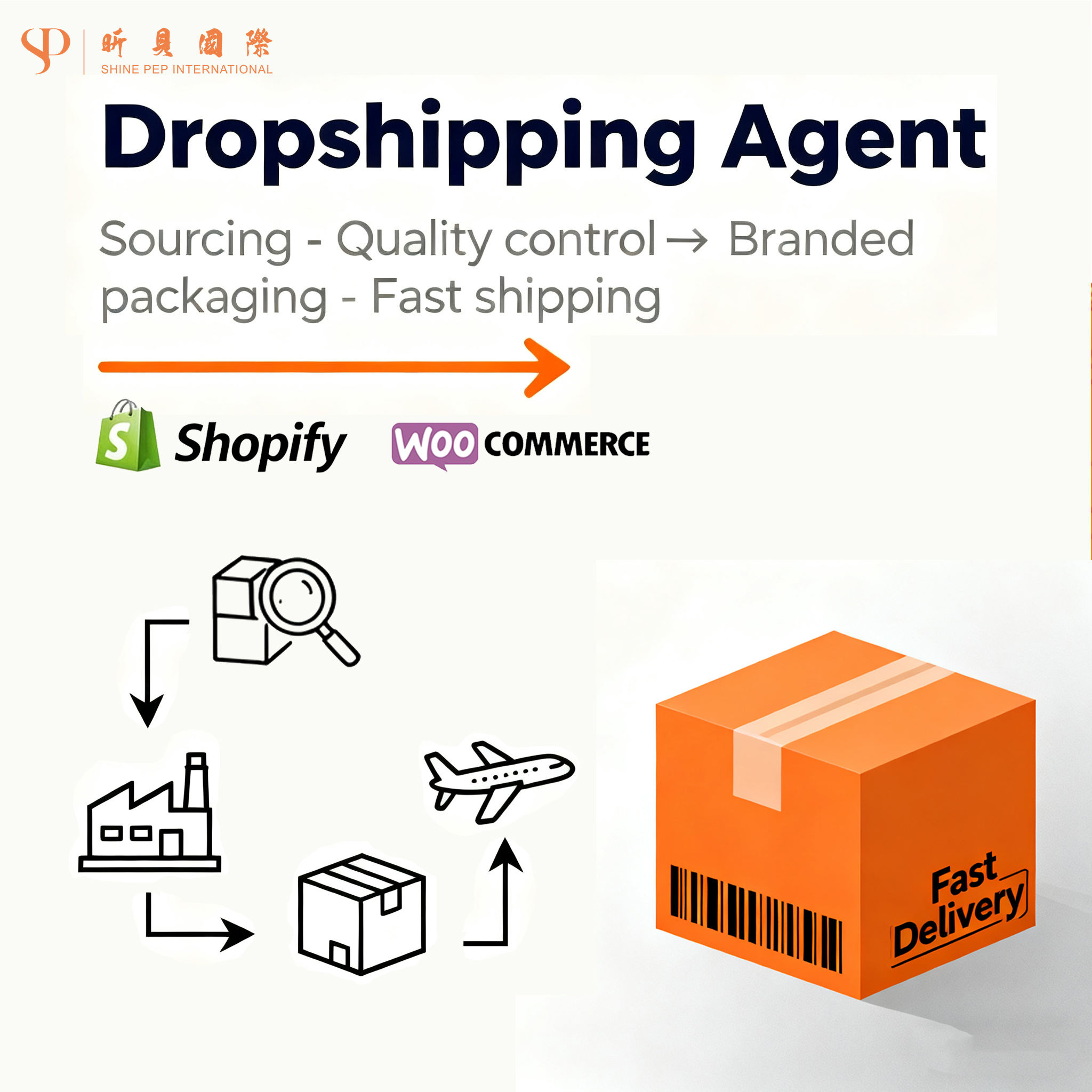 ดรอปชิปปิ้ง