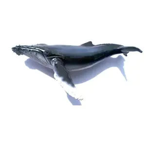批发鲨鱼树脂冰箱磁铁鱼动物雕像