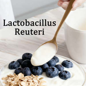 Poudre de probiotiques Lactobacillus Reuteri de qualité alimentaire - Complément alimentaire - Ingrédient alimentaire fonctionnel 1,0x10(10)-1,0x10(11) UFC/g 2 - Product Image 4