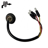 Luces 3/4 "Indicador de doble color Lente transparente 12V 24V Lámpara Ámbar Camión Remolque LED Luz de marcador lateral con anillo de metal