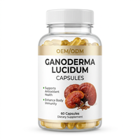 Cápsulas de Ganoderma Lucidum Reishi de Marca Privada OEM ODM, para una Piel Radiante, Antioxidante para Adultos, Bienestar Certificado