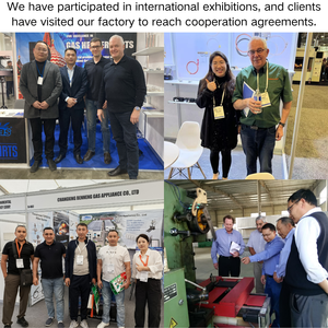 Composants d'allumage ODS certifiés CE en gros, matériaux personnalisables adaptés aux cheminées à gaz et aux grilles de barbecue - Product Image 5