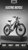 Vélo S600 48V 17.5Ah avec frein à disque hydraulique, moteur de moyeu arrière, amortisseur à ressort, cadre en alliage d'aluminium, Shimano 7 vitesses, pneus larges