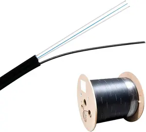 Suministro directo de fábrica Bow-Type Ftth Cable de caída plana para interiores 50M 100M Cable de caída de fibra óptica Drop-Kabel