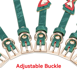 BANSEY Ensemble de bondage Cosplay Papillon Émeraude avec laisse en cuir amovible, mors à boule et fouet pour tétons, dispositif de plaisir pour adultes - Product Image 3