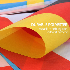 Flagnshow Pays Européens Chaîne Drapeau Étanche UE FA Cup Football Bunting Fanion Bannière <span class=keywords><strong>Euro</strong></span> Drapeau - Product Image 5