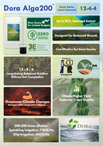 Super Grow Fertilizer <span class=keywords><strong>Bio</strong></span> Stimulate Ácido húmico orgánico Líquido Npk Micronutriente 12-4-4 Fertilizante para verduras Árbol de <span class=keywords><strong>cacao</strong></span> - Product Image 4