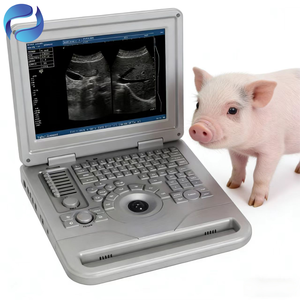 Système de diagnostic échographique numérique complet à <span class=keywords><strong>prix</strong></span> avantageux, directement de l'usine, pour usage vétérinaire - Product Image 1