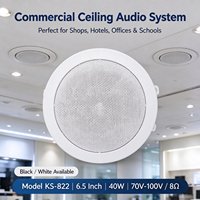 Haut-parleur coaxial encastrable de 6,5 pouces, passif, 30W 40W, pour sonorisation commerciale, musique d'ambiance, sonorisation publique, home cinéma, école