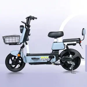 Fulong Elektrische Auto 2024 Populaire Elektrische Fiets 500Welectric Bike Elektrische Scooters Elektrische Motorfiets