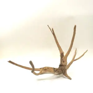 Aquarium Small Natural Spider Wood for Freshwater Aquascaping Decor Reptile Branches Driftwood