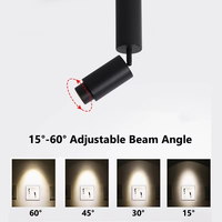 Focos LED de ángulo ajustable con poste largo, 15-60 grados, enfoque con zoom, luces empotradas para restaurante, lámpara de techo para sala de estar y pasillo
