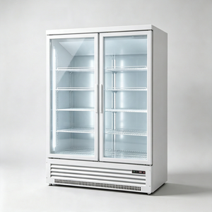 Refrigerador Vertical con Puerta de Vidrio y Ventilador de Enfriamiento ZD-22c(-7.6F), Congelador de Exhibición, <span class=keywords><strong>Vitrina</strong></span> Comercial para Almacenamiento de Alimentos - Product Image 6