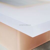 Design moderne nordique salon acrylique Rectangle Table basse créativité personnalisée Table à thé en acrylique mat