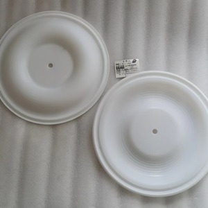Pompe à membrane Wilton 2 pouces 08-1010-55 pour brasserie chimique - Product Image 1