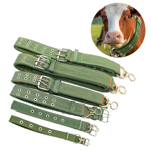 Attrezzatura per <span class=keywords><strong>Animali</strong></span> da Fattoria, Corda Speciale da 1M per Collare di Bovini e Ovini, Cinghia per Collo di Bestiame, Nuovo Cinturino in Tela Resistente a 4 Strati in Nylon - Product Image 6